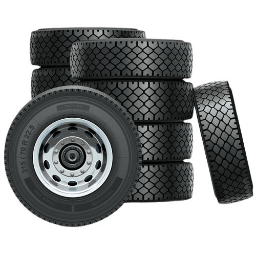 image removebg preview (2)